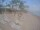 Webcam in Punta Cana, 272.3 mi away