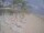 Webcam in Punta Cana, 239 km entfernt