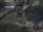 Webcam in Punta Cana, 136.4 km
