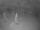 Webcam in Punta Cana, 0.1 mi away