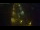 Webcam in Adorf/Vogtland, 10.1 mi away