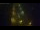 Webcam in Adorf/Vogtland, 12.6 mi away
