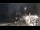 Webcam in Manarola (Cinque Terre), 19.5 km