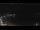 Webcam in Lerici, 0.2 mi away