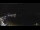 Webcam in Lerici, 0.2 mi away