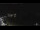 Webcam in Lerici, 2.6 mi away
