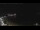 Webcam in Lerici, 4 km