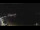 Webcam in Lerici, 0.9 mi away