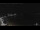 Webcam in Lerici, 5.7 km