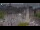 Webcam in Amsterdam, 2.2 mi away
