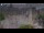 Webcam in Amsterdam, 8 mi away