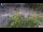 Webcam in Amsterdam, 0.4 km