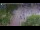 Webcam in Amsterdam, 15.3 mi away