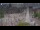 Webcam in Amsterdam, 9.8 mi away