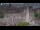 Webcam in Amsterdam, 15.2 mi away