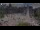 Webcam in Amsterdam, 19.5 mi away