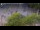 Webcam in Amsterdam, 0.6 km entfernt