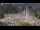 Webcam in Amsterdam, 31.5 km entfernt