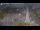 Webcam in Amsterdam, 24.3 km
