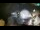 Webcam in Opatija, 5.7 km entfernt