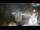 Webcam in Opatija, 1.4 mi away
