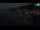 Webcam in Opatija, 3.1 km