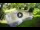 Webcam in Isla Santa Cruz (Galápagos Islands), 576.1 mi away