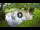 Webcam in Isla Santa Cruz (Galápagos Islands), 518.5 mi away