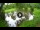 Webcam in Isla Santa Cruz (Galápagos Islands), 576.1 mi away