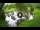 Webcam in Isla Santa Cruz (Galápagos Islands), 576.1 mi away