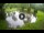 Webcam in Isla Santa Cruz (Galápagos Islands), 928.2 mi away