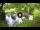 Webcam in Isla Santa Cruz (Galápagos Islands), 424.6 mi away