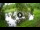 Webcam in Isla Santa Cruz (Galápagos Islands), 34 mi away