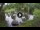 Webcam in Isla Santa Cruz (Galápagos Islands), 34 mi away