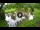 Webcam in Isla Santa Cruz (Galápagos Islands), 555.9 mi away