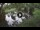 Webcam in Isla Santa Cruz (Galápagos Islands), 34 mi away