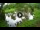 Webcam in Isla Santa Cruz (Isole Galapagos), 1440.7 km
