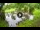 Webcam in Isla Santa Cruz (Galápagos Islands), 576.1 mi away