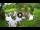 Webcam in Isla Santa Cruz (Galápagos Islands), 581.6 mi away