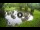 Webcam in Isla Santa Cruz (Galápagos Islands), 576.1 mi away