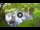 Webcam in Isla Santa Cruz (Galápagos Islands), 555.9 mi away
