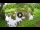Webcam in Isla Santa Cruz (Galápagos Islands), 576.1 mi away