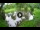 Webcam in Isla Santa Cruz (Galápagos Islands), 34 mi away