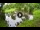 Webcam in Isla Santa Cruz (Galápagos Islands), 424.6 mi away