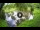 Webcam in Isla Santa Cruz (Galápagos Islands), 576.1 mi away