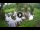 Webcam in Isla Santa Cruz (Galápagos Islands), 576.1 mi away