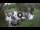 Webcam in Isla Santa Cruz (Galápagos Islands), 576.1 mi away