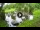 Webcam in Isla Santa Cruz (Îles Galapagos), 1176.4 km