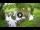 Webcam in Isla Santa Cruz (Galápagos Islands), 34 mi away