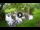 Webcam in Isla Santa Cruz (Galápagos Islands), 576.1 mi away